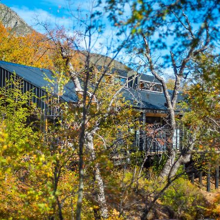 Vivelodge Las Trancas Eksteriør billede